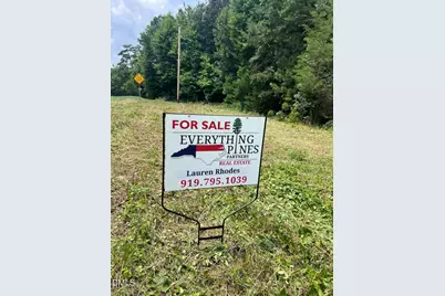 Lot 4 Elmer Moore Road, Siler City, NC 27344 - Photo 4