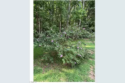 153 Smiths Creek Drive, Clayton, NC 27520 - Photo 34