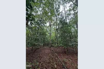 Lot 5 Claude Lewis Road, Middlesex, NC 27557 - Photo 10