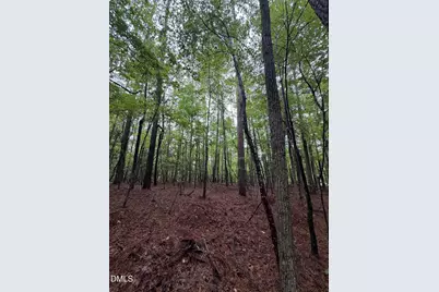 Lot 4 Claude Lewis Road, Middlesex, NC 27557 - Photo 12