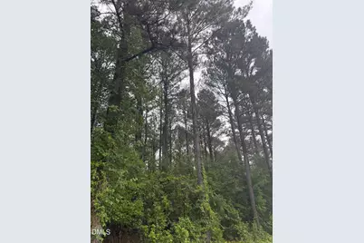 Lot 4 Claude Lewis Road, Middlesex, NC 27557 - Photo 6