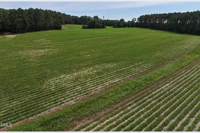 Lot 3 Claude Lewis Road, Middlesex, NC 27557 - Photo 4
