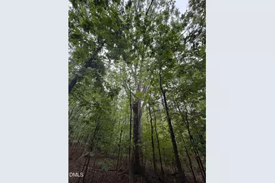 Lot 2 Claude Lewis Road, Middlesex, NC 27557 - Photo 8