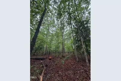 Lot 1 Claude Lewis Road, Middlesex, NC 27557 - Photo 12