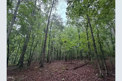 Lot 1 Claude Lewis Road, Middlesex, NC 27557 - Photo 4