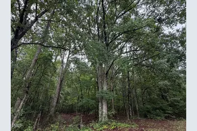 Lot 1 Claude Lewis Road, Middlesex, NC 27557 - Photo 8