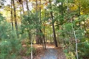 4200 Henderson Pl, Pittsboro, NC 27312 - Photo 68