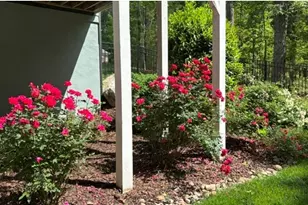 4200 Henderson Pl, Pittsboro, NC 27312 - Photo 54
