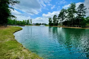 225 Poppy Pt Dr, Wendell, NC 27591 - Photo 26