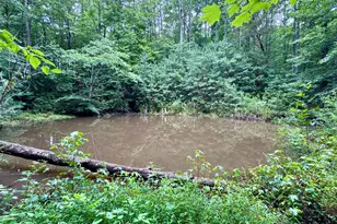 95 Birch Creek Farm Ln, Franklinton, NC 27525 - Photo 66