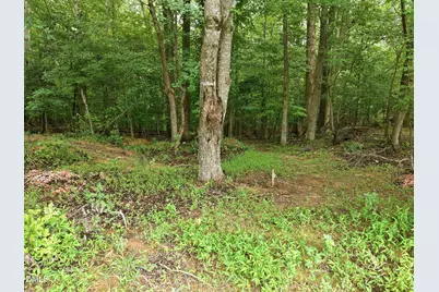 618 Bowen Road, Rougemont, NC 27572 - Photo 10