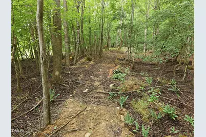 618 Bowen Road, Rougemont, NC 27572 - Photo 6