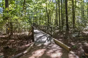 273 Brown Bear, Chapel Hill, NC 27517 - Photo 34