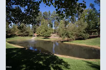 273 Brown Bear, Chapel Hill, NC 27517 - Photo 20