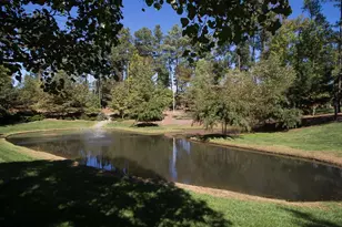 273 Brown Bear, Chapel Hill, NC 27517 - Photo 20