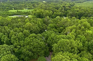 120 Carolina Ave, Oxford, NC 27565 - Photo 12