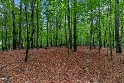 65 Summit Ridge Court, Youngsville, NC 27596 - Photo 58