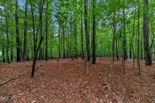65 Summit Ridge Ct, Youngsville, NC 27596 - Photo 58