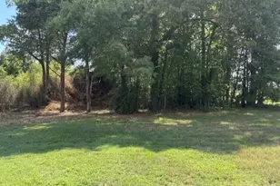 211 Colonial Ave, Goldston, NC 27252 - Photo 1