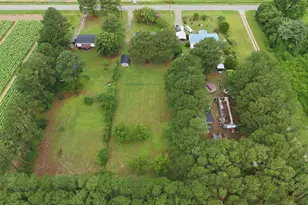 9111 Pace Rd, Bailey, NC 27807 - Photo 42