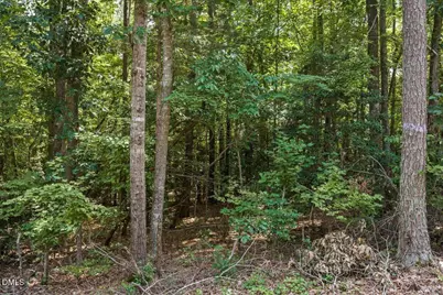 00 S Holiday Drive, Macon, NC 27551 - Photo 4