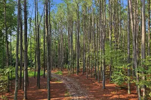 3700 Redwood Rd, Durham, NC 27704 - Photo 1