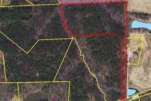 0 Hwy 49, Mebane, NC 27302 - Photo 1