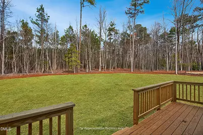 239 Isabelle Valley Drive, Zebulon, NC 27597 - Photo 46