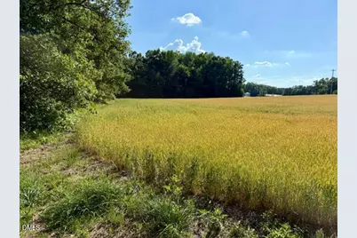 Tbd Lonnie Gentry Road, Roxboro, NC 27574 - Photo 8