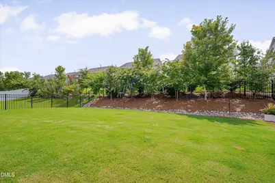 2517 Great Daisy Lane, New Hill, NC 27562 - Photo 62