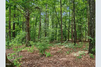 10 Sourwood Lane, Pittsboro, NC 27312 - Photo 74