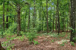 10 Sourwood Ln, Pittsboro, NC 27312 - Photo 74