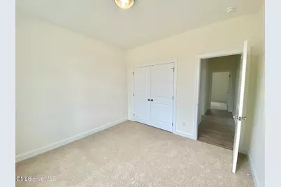 203 Rae Drive, Pikeville, NC 27863 - Photo 20