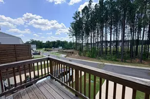 451 Carolina Spgs Blvd, Apex, NC 27539 - Photo 16