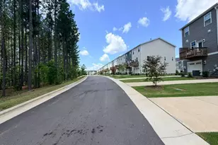451 Carolina Spgs Blvd, Apex, NC 27539 - Photo 34