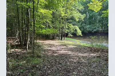 3917 Lebanon Road, Efland, NC 27243 - Photo 4