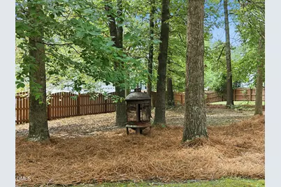 2404 Harline Court, Raleigh, NC 27614 - Photo 52