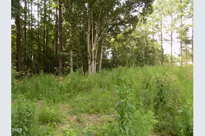 4009 US 401 N, Louisburg, NC 27549 - Photo 2