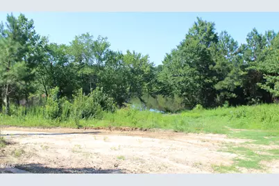 20 Home Place Lane, Zebulon, NC 27597 - Photo 14