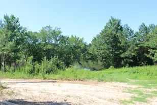 20 Home Place Lane, Zebulon, NC 27597 - Photo 14