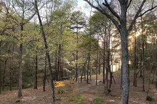 1820 Southpoint Ln, New London, NC 28127 - Photo 66