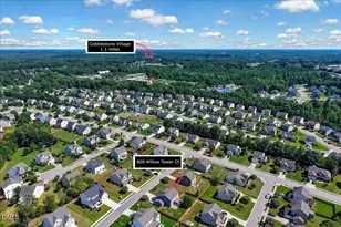 809 Willow Tower Ct, Rolesville, NC 27571 - Photo 46