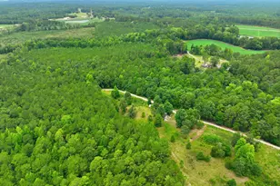 1025 Mike Williams Ln, Bunnlevel, NC 28323 - Photo 1