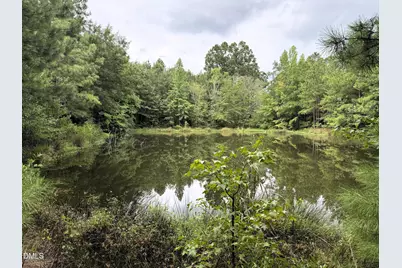 1755 Bunnlevel Erwin Road, Bunnlevel, NC 28323 - Photo 2