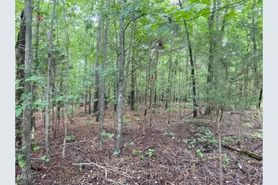 0 Coe Street, Timberlake, NC 27583 - Photo 4