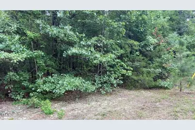 0 Coe Street, Timberlake, NC 27583 - Photo 2
