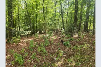 249 Sacred Fire Road, Louisburg, NC 27549 - Photo 2
