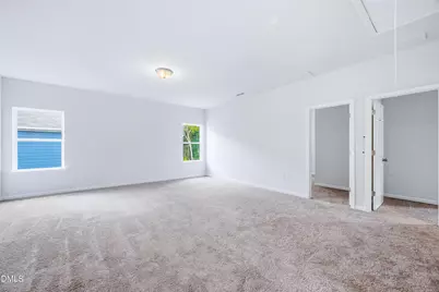 180 E American Marigold Drive, Benson, NC 27504 - Photo 24