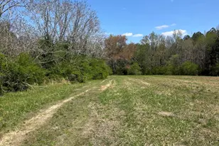 1707 Tower Rd, Norlina, NC 27563 - Photo 20