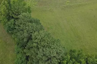 1707 Tower Rd, Norlina, NC 27563 - Photo 10